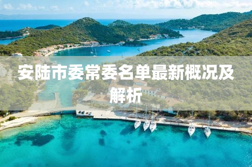 安陸市委常委名單最新概況及解析