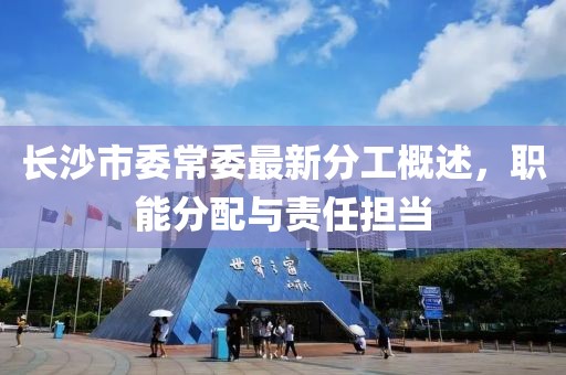長沙市委常委最新分工概述，職能分配與責任擔當