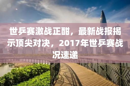世乒賽激戰(zhàn)正酣，最新戰(zhàn)報揭示頂尖對決，2017年世乒賽戰(zhàn)況速遞