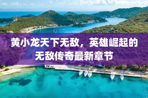 黃小龍?zhí)煜聼o敵，英雄崛起的無敵傳奇最新章節(jié)