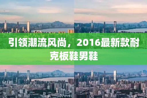 引領(lǐng)潮流風(fēng)尚，2016最新款耐克板鞋男鞋