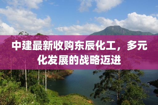 中建最新收購東辰化工，多元化發(fā)展的戰(zhàn)略邁進