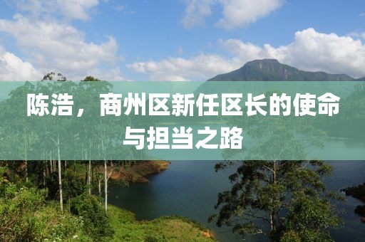 陳浩，商州區(qū)新任區(qū)長的使命與擔(dān)當(dāng)之路