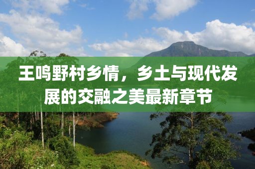 王鳴野村鄉(xiāng)情，鄉(xiāng)土與現(xiàn)代發(fā)展的交融之美最新章節(jié)