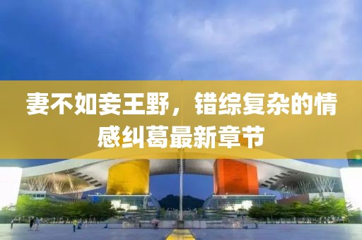 妻不如妾王野，錯綜復(fù)雜的情感糾葛最新章節(jié)