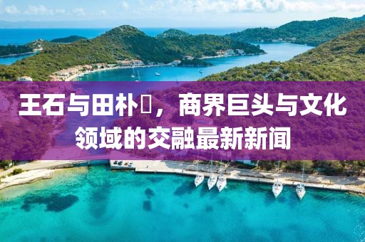 王石與田樸琤，商界巨頭與文化領(lǐng)域的交融最新新聞