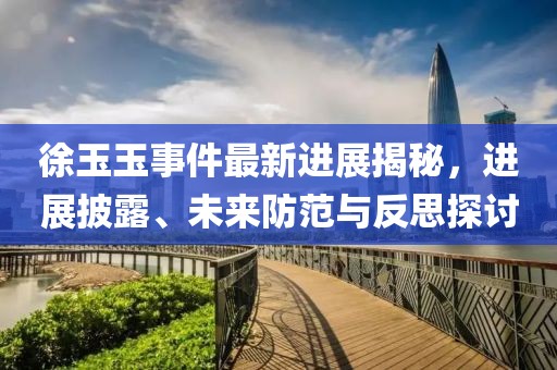 徐玉玉事件最新進(jìn)展揭秘，進(jìn)展披露、未來防范與反思探討