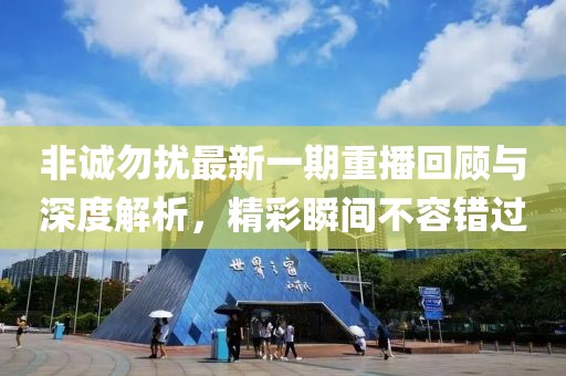 非誠勿擾最新一期重播回顧與深度解析，精彩瞬間不容錯過