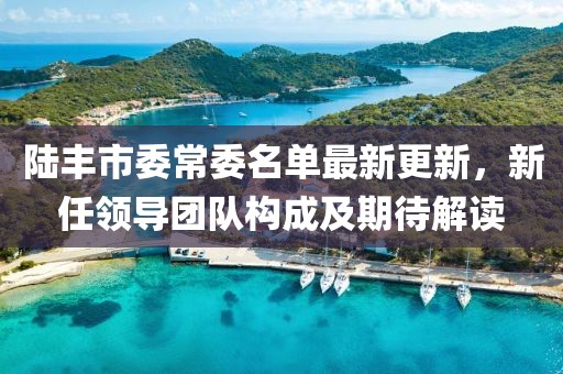陸豐市委常委名單最新更新，新任領(lǐng)導(dǎo)團(tuán)隊構(gòu)成及期待解讀
