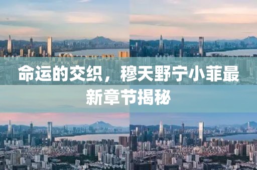 命運(yùn)的交織，穆天野寧小菲最新章節(jié)揭秘