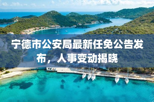 寧德市公安局最新任免公告發(fā)布，人事變動(dòng)揭曉