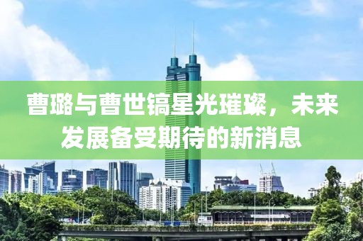曹璐與曹世鎬星光璀璨，未來發(fā)展備受期待的新消息