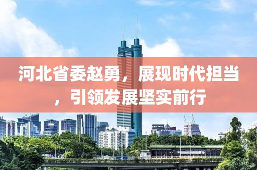 河北省委趙勇，展現(xiàn)時(shí)代擔(dān)當(dāng)，引領(lǐng)發(fā)展堅(jiān)實(shí)前行