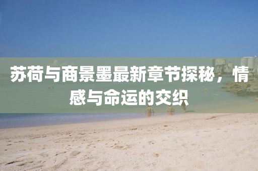 蘇荷與商景墨最新章節(jié)探秘，情感與命運(yùn)的交織