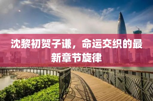 沈黎初賀子謙，命運(yùn)交織的最新章節(jié)旋律