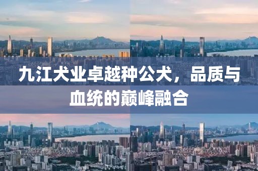 九江犬業(yè)卓越種公犬，品質(zhì)與血統(tǒng)的巔峰融合