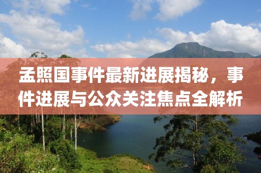孟照國事件最新進展揭秘，事件進展與公眾關(guān)注焦點全解析