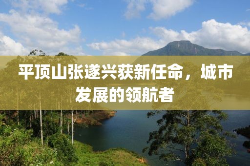 平頂山張遂興獲新任命，城市發(fā)展的領(lǐng)航者
