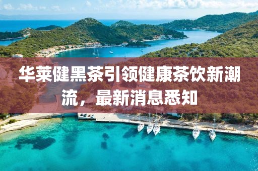 華萊健黑茶引領健康茶飲新潮流，最新消息悉知