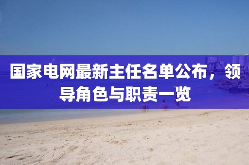 國家電網(wǎng)最新主任名單公布，領(lǐng)導(dǎo)角色與職責(zé)一覽