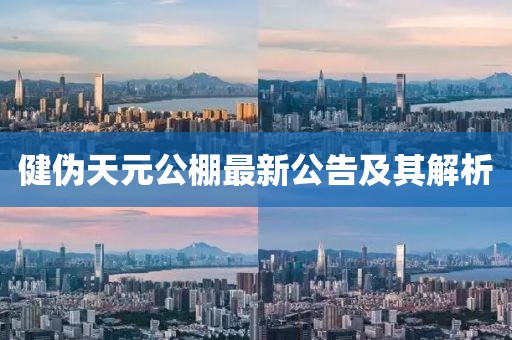 健偽天元公棚最新公告及其解析