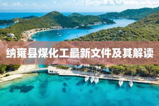 納雍縣煤化工最新文件及其解讀