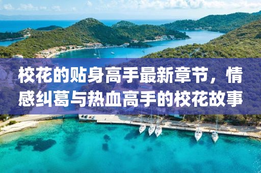 ?；ǖ馁N身高手最新章節(jié)，情感糾葛與熱血高手的?；ü适? class=