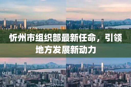 忻州市組織部最新任命，引領地方發(fā)展新動力