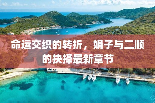 命運交織的轉折，娟子與二順的抉擇最新章節(jié)