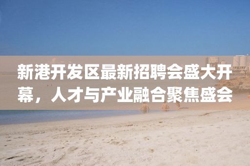 新港開(kāi)發(fā)區(qū)最新招聘會(huì)盛大開(kāi)幕，人才與產(chǎn)業(yè)融合聚焦盛會(huì)