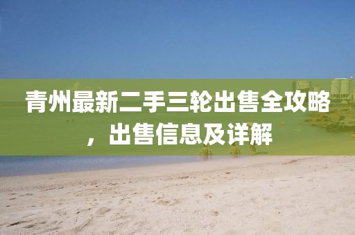 青州最新二手三輪出售全攻略，出售信息及詳解