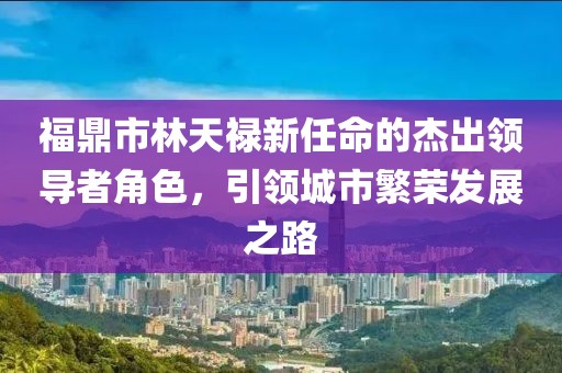 福鼎市林天祿新任命的杰出領導者角色，引領城市繁榮發(fā)展之路