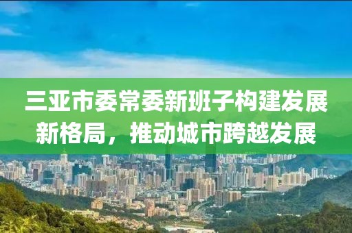 三亞市委常委新班子構(gòu)建發(fā)展新格局，推動(dòng)城市跨越發(fā)展