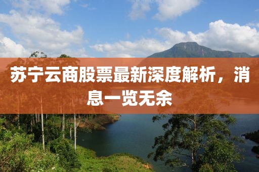 蘇寧云商股票最新深度解析，消息一覽無余
