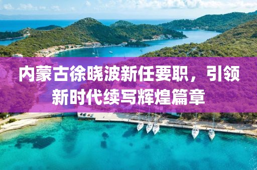 內(nèi)蒙古徐曉波新任要職，引領(lǐng)新時(shí)代續(xù)寫輝煌篇章