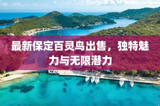 最新保定百靈鳥出售，獨(dú)特魅力與無限潛力