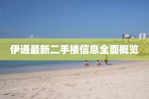 開心的時刻 第4頁