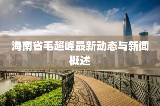 海南省毛超峰最新動態(tài)與新聞概述