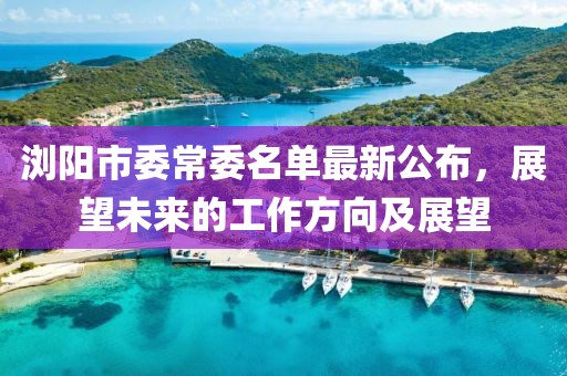 瀏陽市委常委名單最新公布，展望未來的工作方向及展望