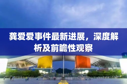 龔愛愛事件最新進(jìn)展，深度解析及前瞻性觀察