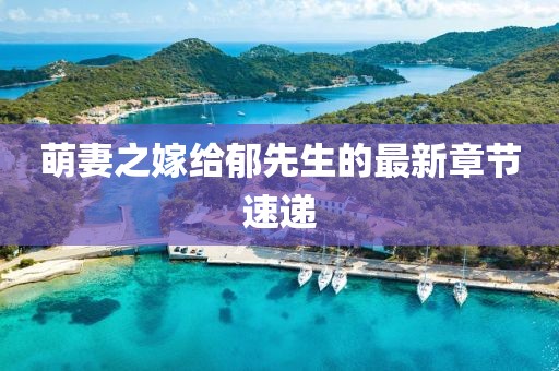 萌妻之嫁給郁先生的最新章節(jié)速遞
