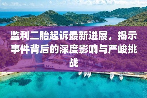 監(jiān)利二胎起訴最新進(jìn)展，揭示事件背后的深度影響與嚴(yán)峻挑戰(zhàn)