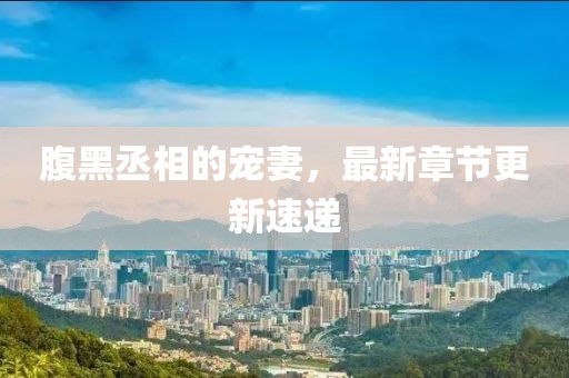 腹黑丞相的寵妻，最新章節(jié)更新速遞