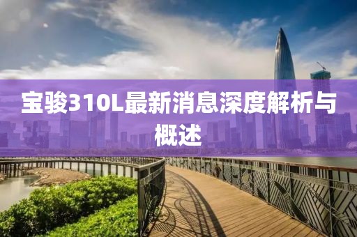 寶駿310L最新消息深度解析與概述