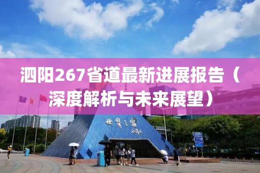 泗陽267省道最新進(jìn)展報告（深度解析與未來展望）