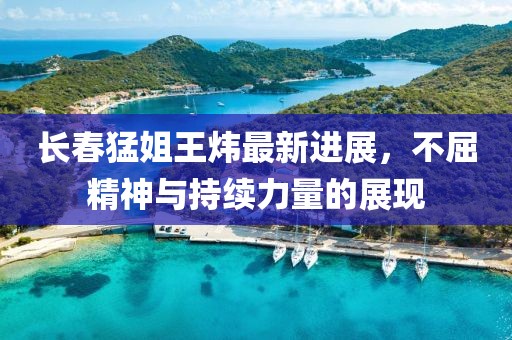 長春猛姐王煒最新進展，不屈精神與持續(xù)力量的展現(xiàn)