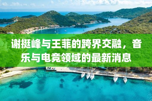 謝挺峰與王菲的跨界交融，音樂與電競領(lǐng)域的最新消息