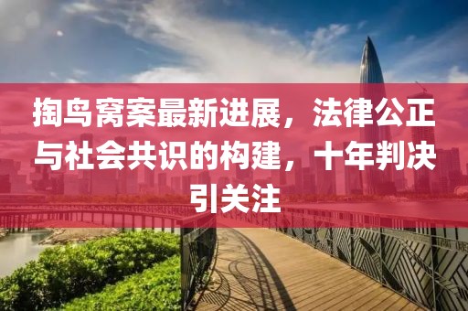 掏鳥窩案最新進展，法律公正與社會共識的構(gòu)建，十年判決引關(guān)注