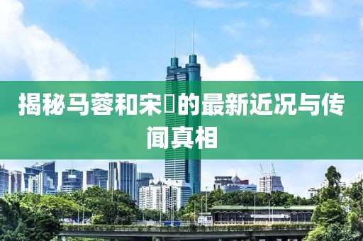 揭秘馬蓉和宋喆的最新近況與傳聞真相