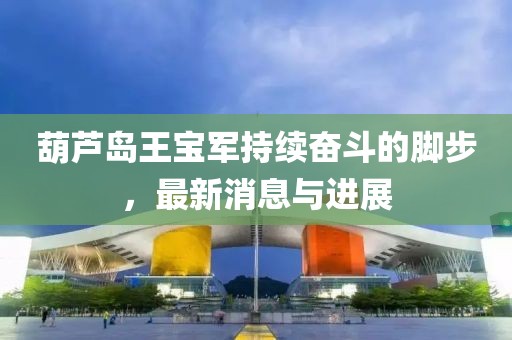 葫蘆島王寶軍持續(xù)奮斗的腳步，最新消息與進(jìn)展